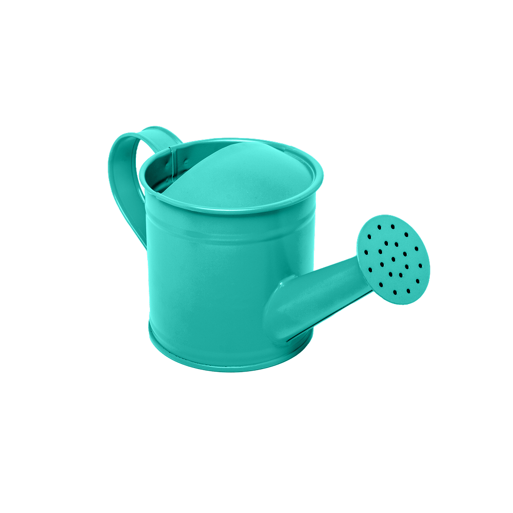 shop-9-02-1000x1000