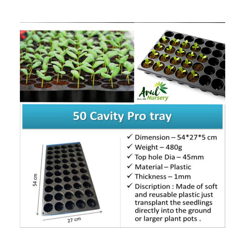 Seeding-Tray
